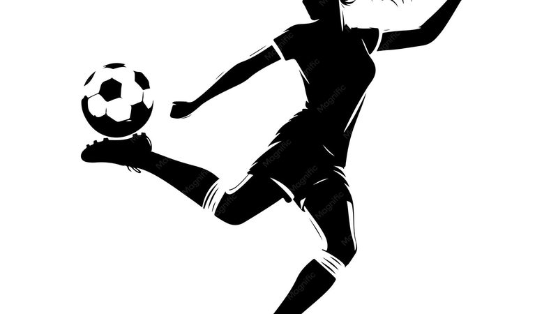 广州联合尽职调查：企业投资决策的坚实基石**